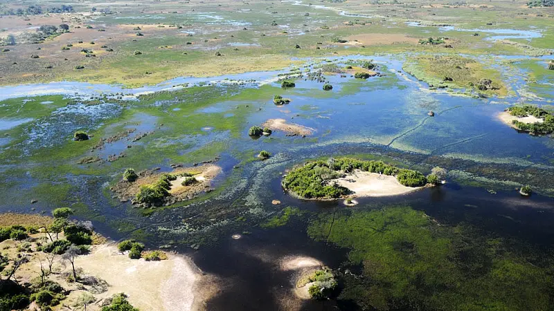 Okavango Delta