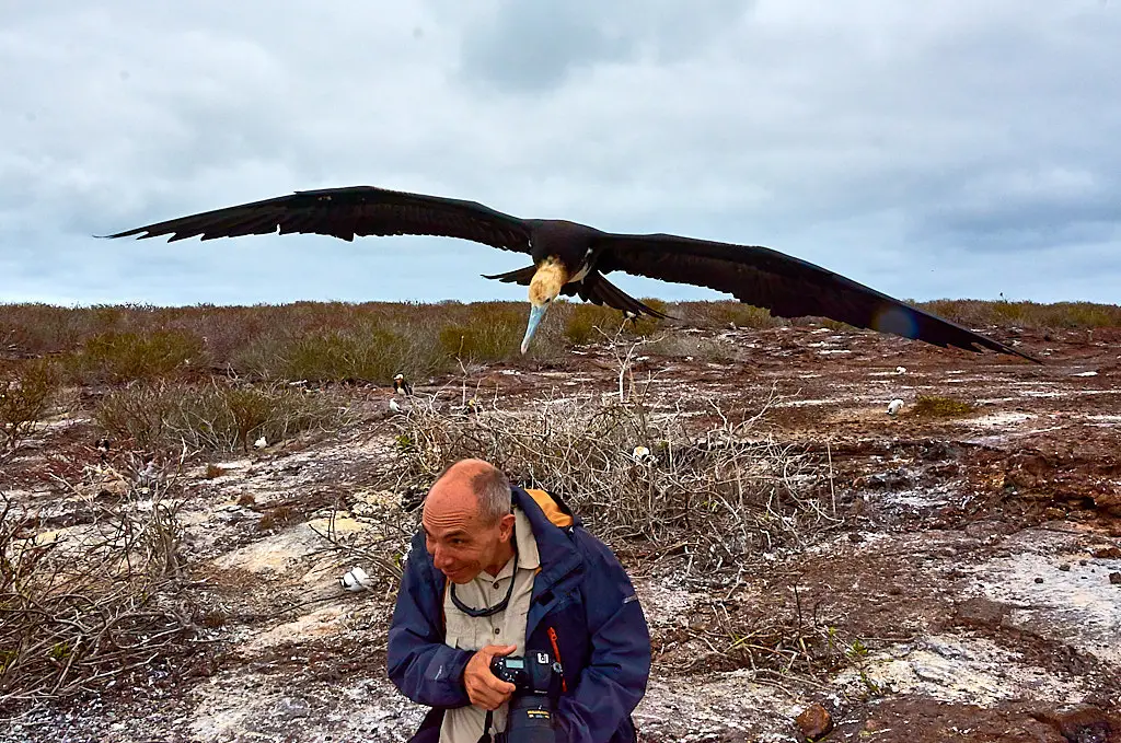 Galapagos birdlife