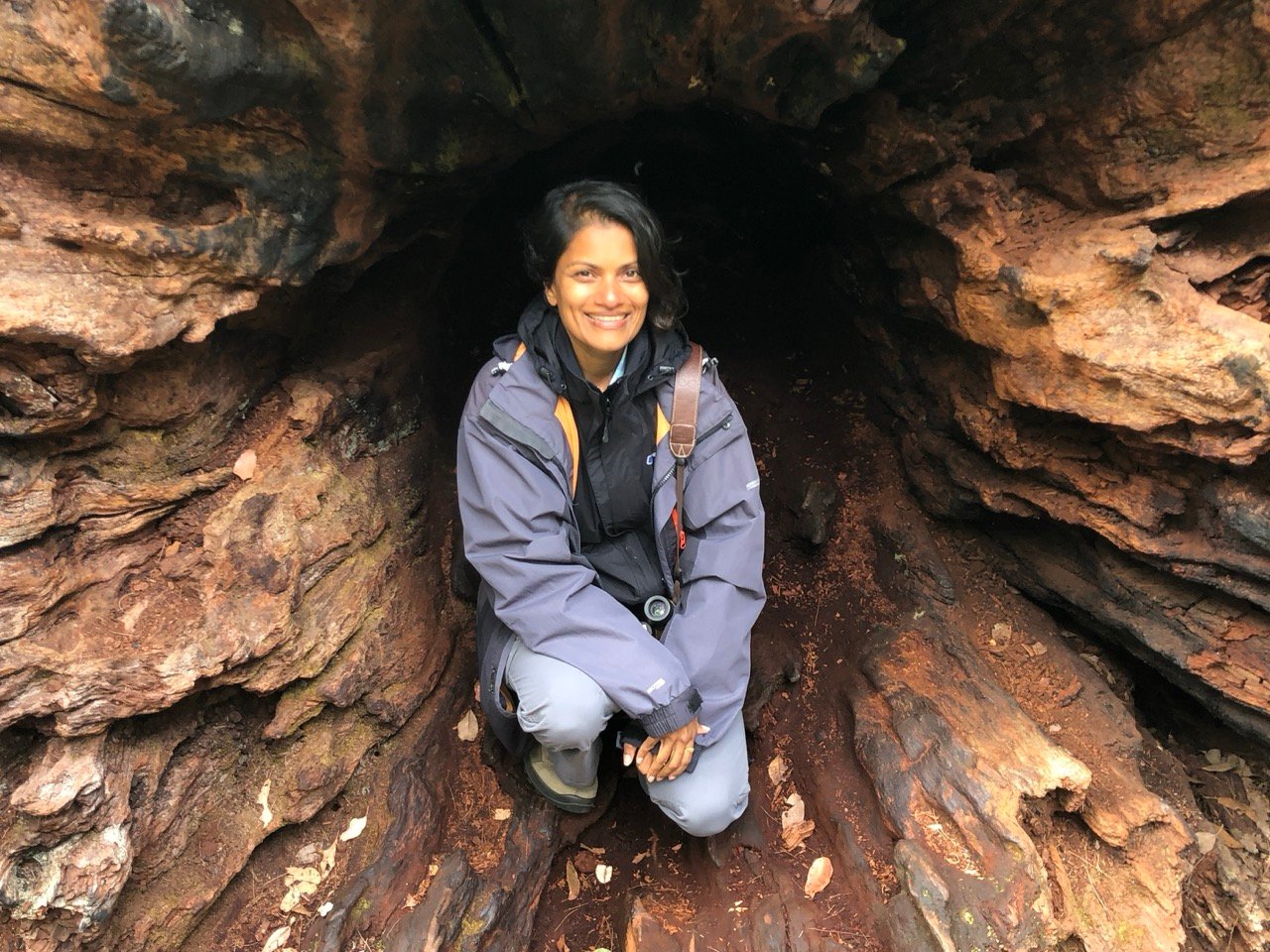 Bansi on a Forest Bathing immersion