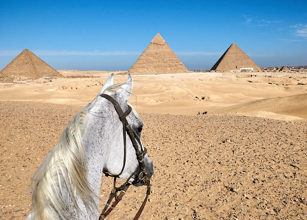 Horse riding amongst pyramids near Cairo, Egypt