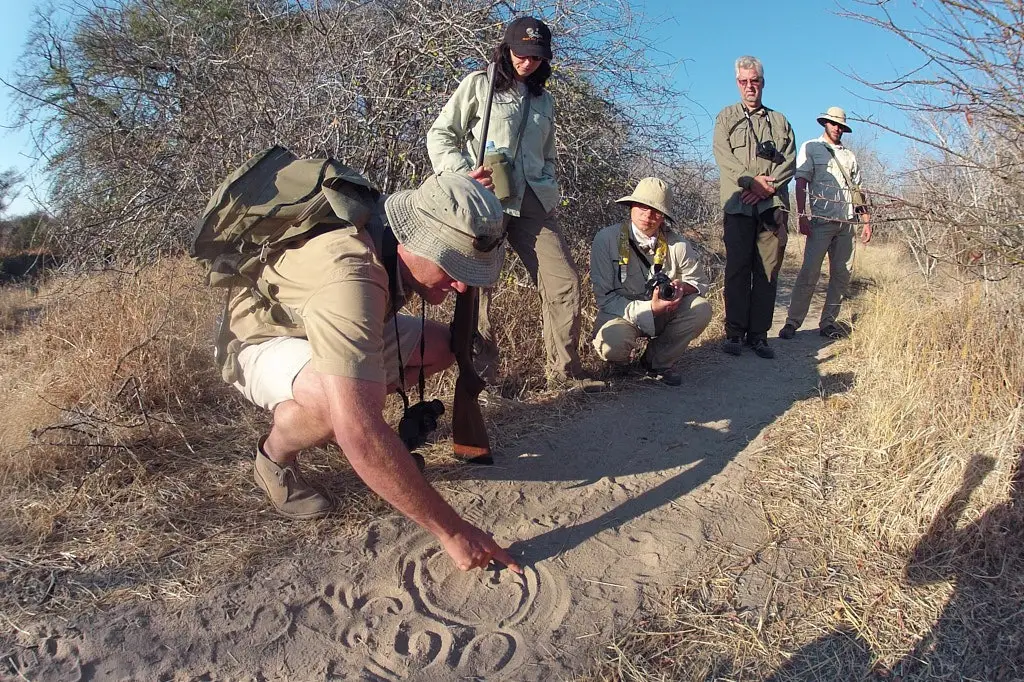 Safari Guide