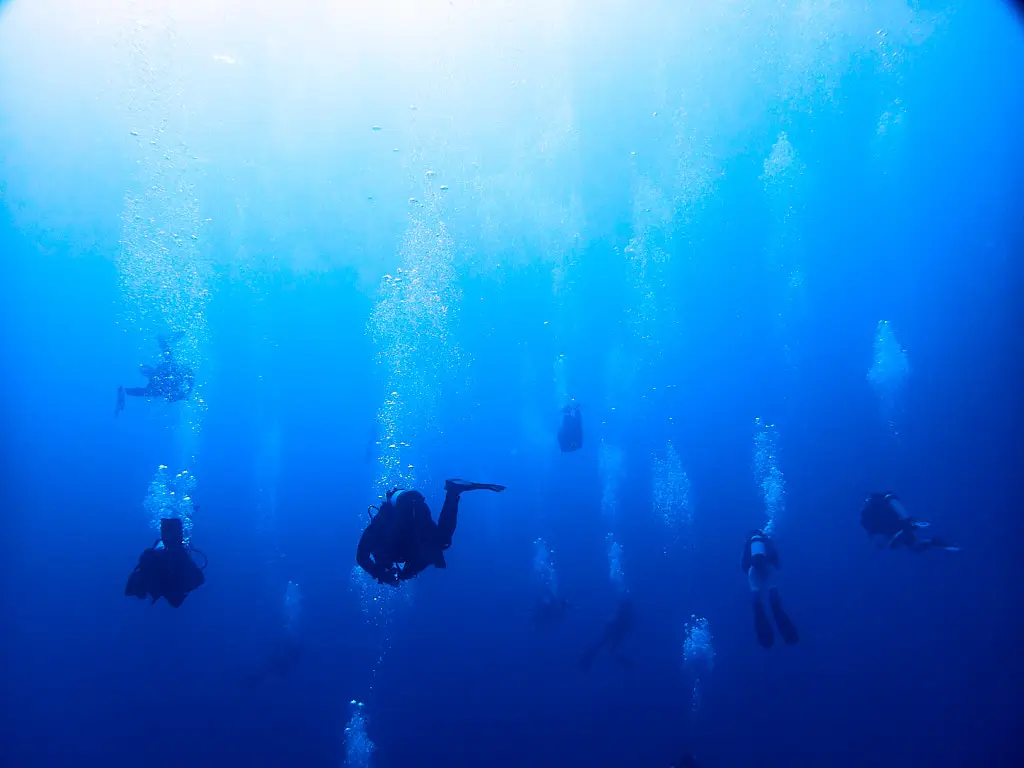 Clear water diving in the Red Sea